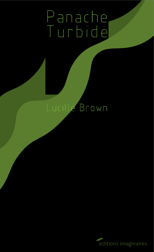 011 Panache turbide.jpg